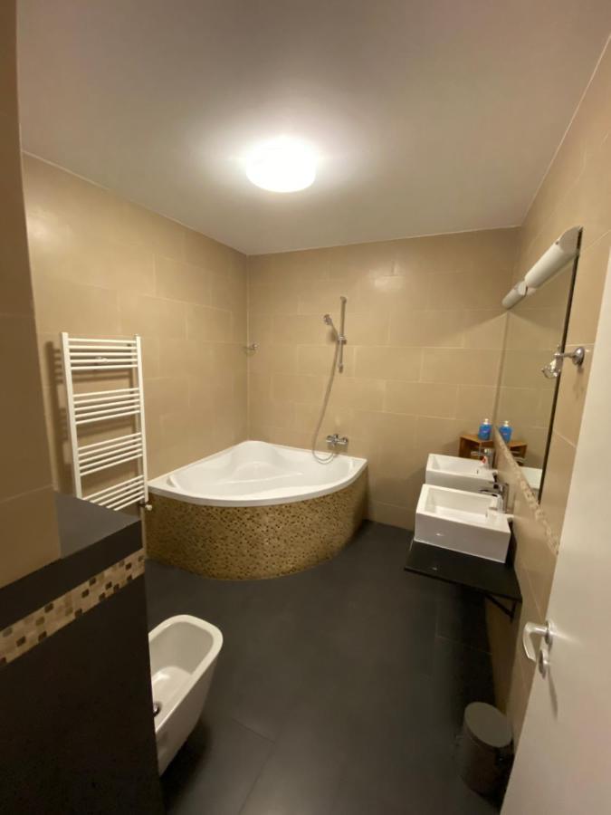 טימישוארה Gaga Residence 3 מראה חיצוני תמונה